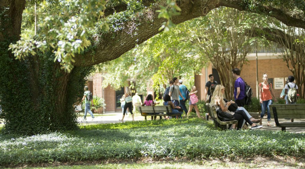 Students walking under the trees near the TCC Science and Math building